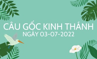 vui-mung-cam-giang-cau-goc-kinh-thanh-cau-goc-kinh-thanh-ngay-03-07-2022-gpXj3XHwr0.jpg