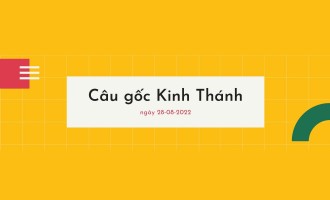 vui-mung-cam-giang-cau-goc-kinh-thanh-cau-goc-kinh-thanh-ngay-28-08-2022-I4byIU89er.jpg